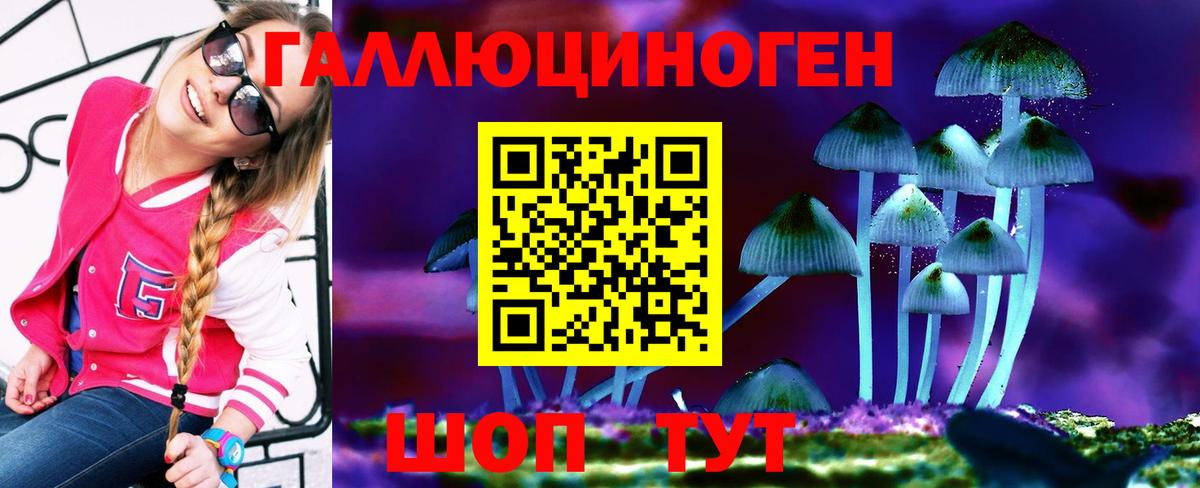 Псилоцибиновые грибы мухоморы Истра